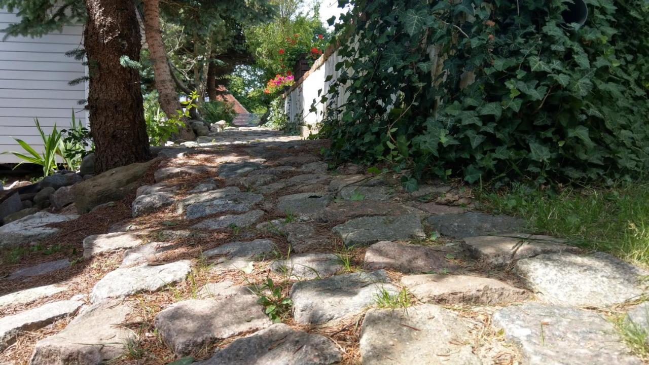 Kamien Baltyku Domki Debina  Exteriör bild